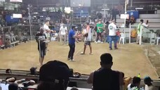 2HITS M.KAHOY COCKPIT JULY 6 2025 CHAMPION 2ND FIGHT BLACKMANTRA OWNER RUEL MENDOZA 09472445508