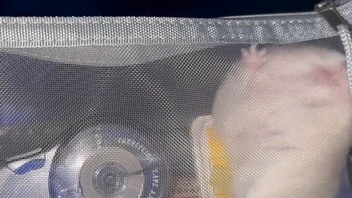 Có bị coi là gian lận nếu các thành viên trong gia đình tôi mang bài này đi thi không?