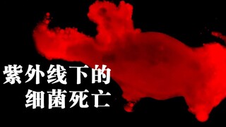 Humorous Science: How Does Ultraviolet Light Kill Microorganisms When Observed in the Microscopic Wo