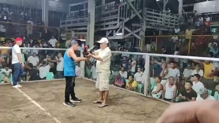 Black Hatch in Action