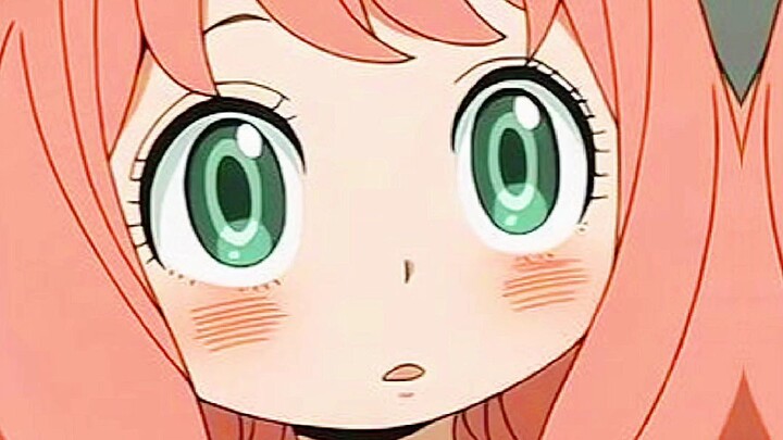 Anya X Damian Sing Sugar Crush