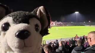 HANNI HOOLIGAN - Gipfeltreffen in Ostberlin! BFC Dynamo - Kernkraft HGW (23.02.2024)