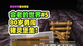 我的世界：会老的世界5，80岁老了失明，也要勇闯猪灵堡！