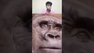 TRY NOT TO LAUGH #8 😃