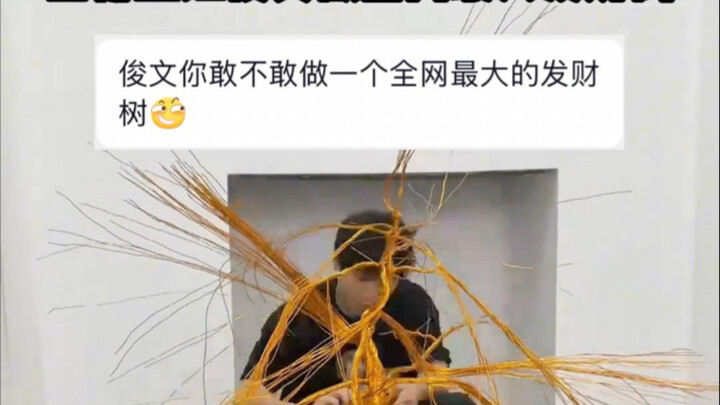 Cây phát tài mà các bạn muốn đây!