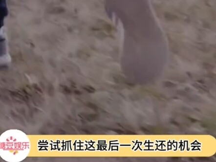 ต้องมีจิตใจแข็งแกร่งขนาดไหน ถึงสามารถเผชิญความตายได้อย่างสงบเช่นนี้ #ช่างภาพ #ภูเขาไฟระเบิด