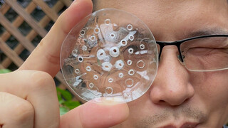 矿泉水瓶秒变养花神器