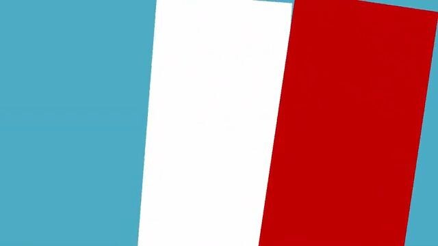 Flags