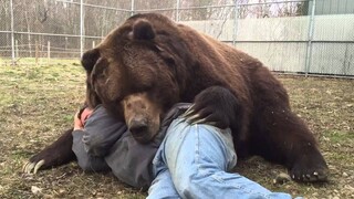 ANIMALS REUNITED WITH OWNERS AFTER YEARS