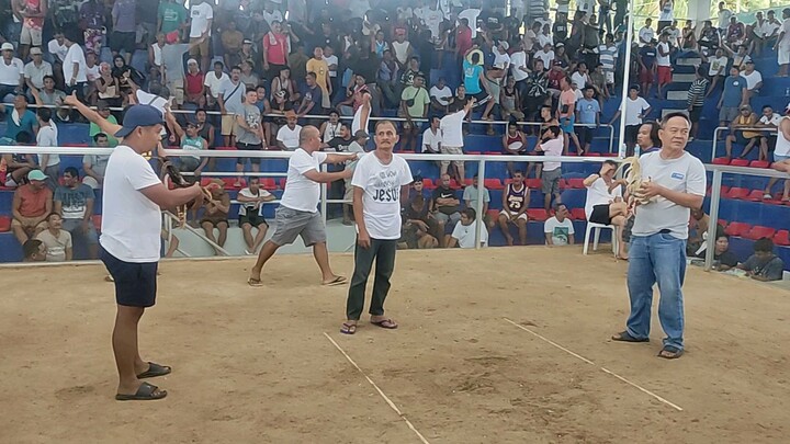 Bulik vs Puti