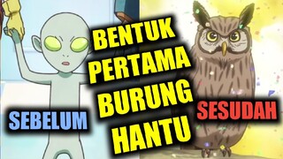 alasan dibalik Penciptaan Hewan|Ternyata ada Tim DESIGN di alam Surga..