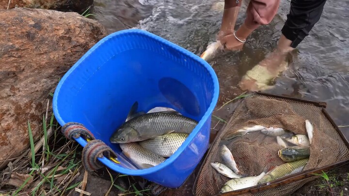 আসসালামুয়ালাইকুম আমার Tiktok এবং Youtube অবশ্যই গিয়ে Subscribe করেন নাম হলো | Ar Family 030