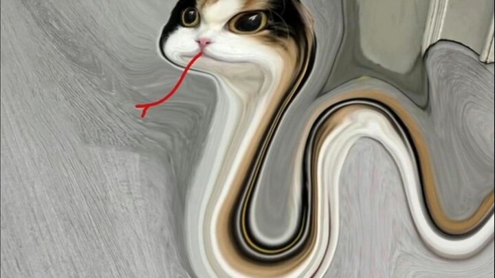 🐱🐍“Rắn! Năm! Đến! Rồi!”🐍🐱