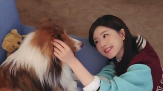 #zhaolusi Studio Weibo Update 240129 | BTS Teenie Weenie Photoshoot