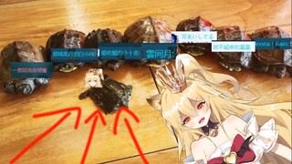 【蕾尔娜】某主播居然为了凑全家福而把自己的头P到乌龟上