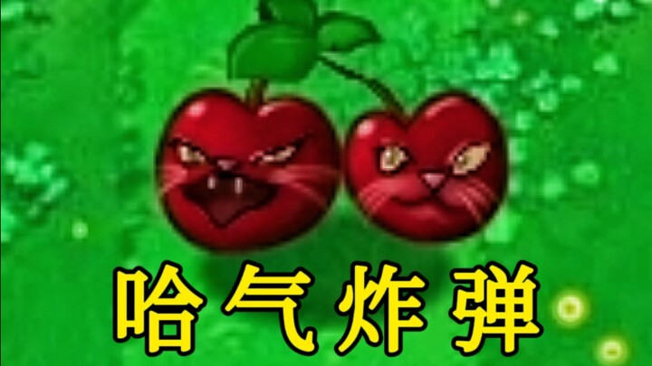Hakimi-style plant: Haki Bomb