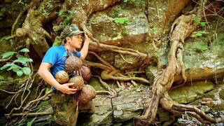 Sinh Tồn Một mình nơi Hoang Dã Tập 5 | Hành Trình Tìm kiếm Dược liệu Rừng