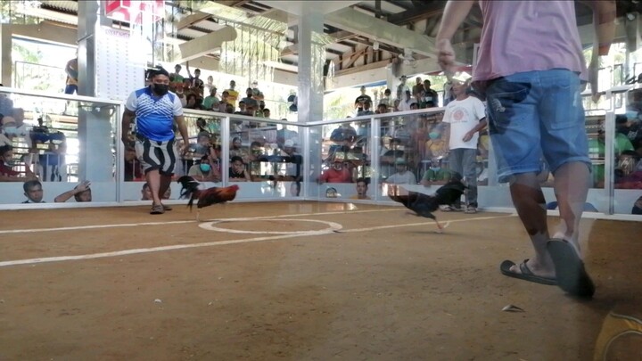 galing nailalim vs malaki at matangkad