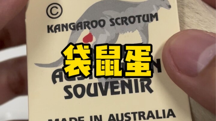 澳洲的猎奇纪念品：袋鼠蛋