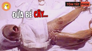 Đôi Vợ Chồng Vì Quá Trông Ngóng Có Một Mụn Con Lại Đem Rễ Cây Thành Con Mình Mà Nuôi Nấng