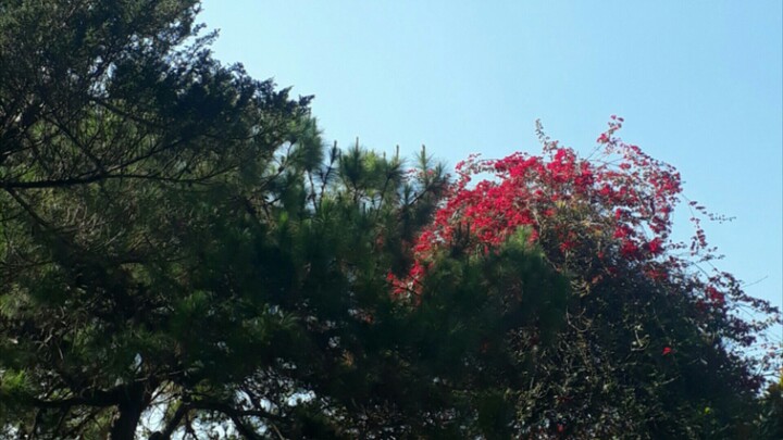 With You Lyrics (BTS Jimin, Ha Sung Woon)