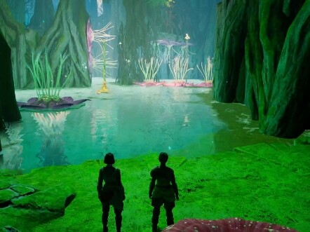 Double-Shadow Wonderland vs. Single-Shadow Wonderland: Miou—You Want a Divorce Too?