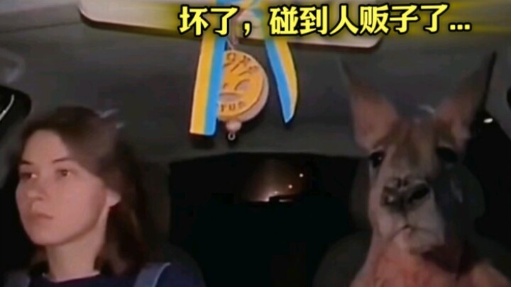 从头到尾全程高能笑点，建议反复观看！！