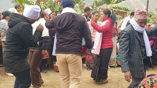 dance in naumati baja | traditiona nepalese cultural music and dance |