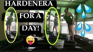 HARDENERA FOR A DAY  / THELMA MICKEY VLOG