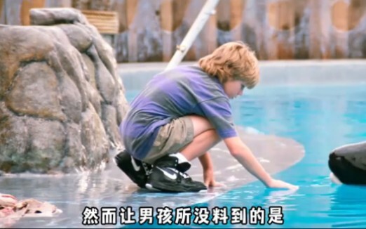 Bocah laki-laki terpeleset dan jatuh ke kolam, diselamatkan oleh paus orca, dan sejak itu mereka men