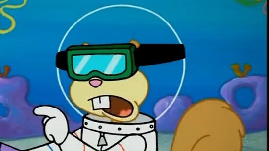 Bộ não của miếng bọt biển nhỏ