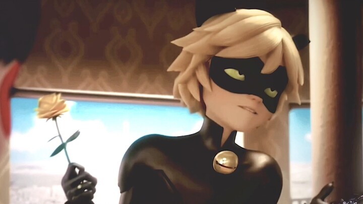 Miraculous Ladybug//Chat noir