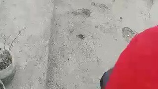 parehas magaling pero pinalad padin warrior natin sa naka pula manok natin jan