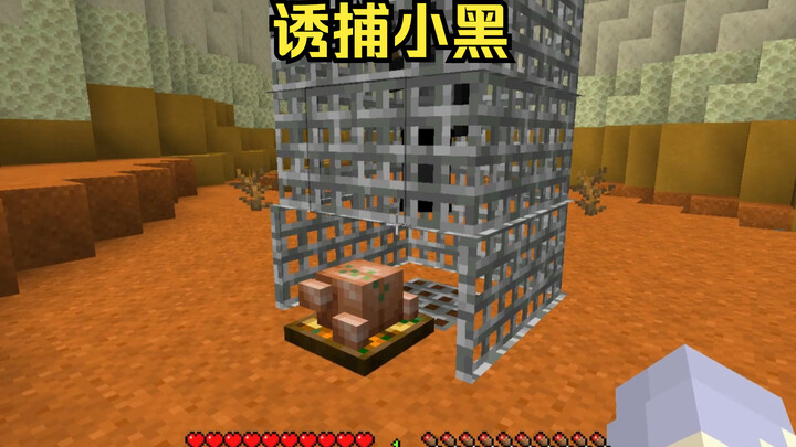 [ Minecraft ] Trapping Blackie