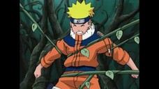 Naruto Season 8 - Episode 207: The Supposed Sealed Ability In Hindi Dub