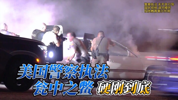 Menangkap kura-kura dalam guci, ternyata kura-kura ini cukup keras kepala.