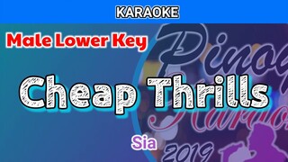 Cheap Thrills by Sia (Karaoke : Male Lower Key)