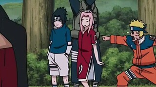 team 7