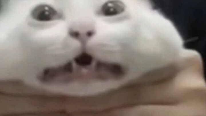 Replication Tutorial