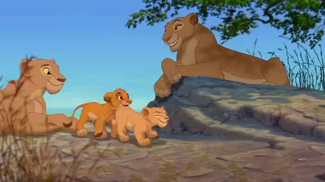 MUFASA