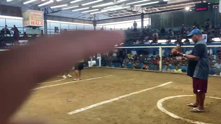 MCJ-AA GF Dicky Lim Line Win