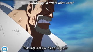 Garp the Fist AMV [Vietsub] #animehay