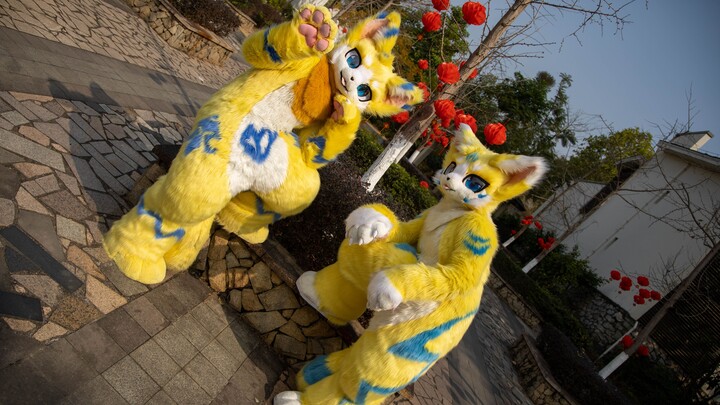 【Fursuit Dance】Wunuo & Aling Happy Star Cat