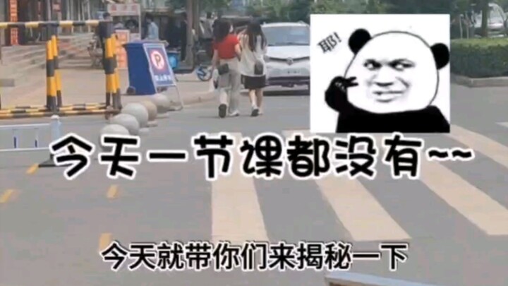 全天没课会干嘛