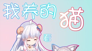 与猫争宠 最后要闹离婚？？(2022年1月8日晚切片)