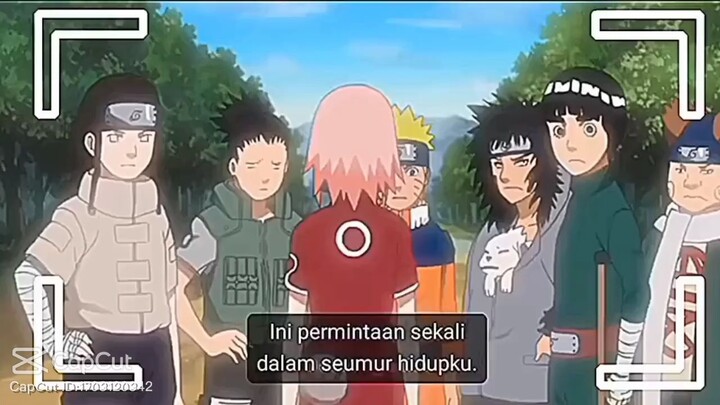 hanya sai yg ngerti perasaan naruto ke sakura