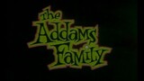 The Addams Family S2E1 - Color Me Addams (1993)