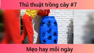 Mẹo thủ thuật trồng cây p7