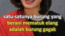 Kata Bijak & Motivasi untuk diri Sendiri