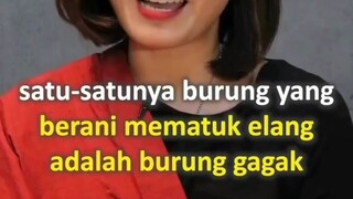 Kata Bijak & Motivasi untuk diri Sendiri